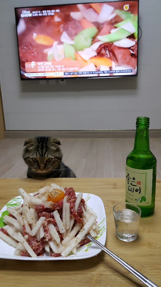 디시인의 매의 눈빛 자취방...동거녀..jpg | 인스티즈