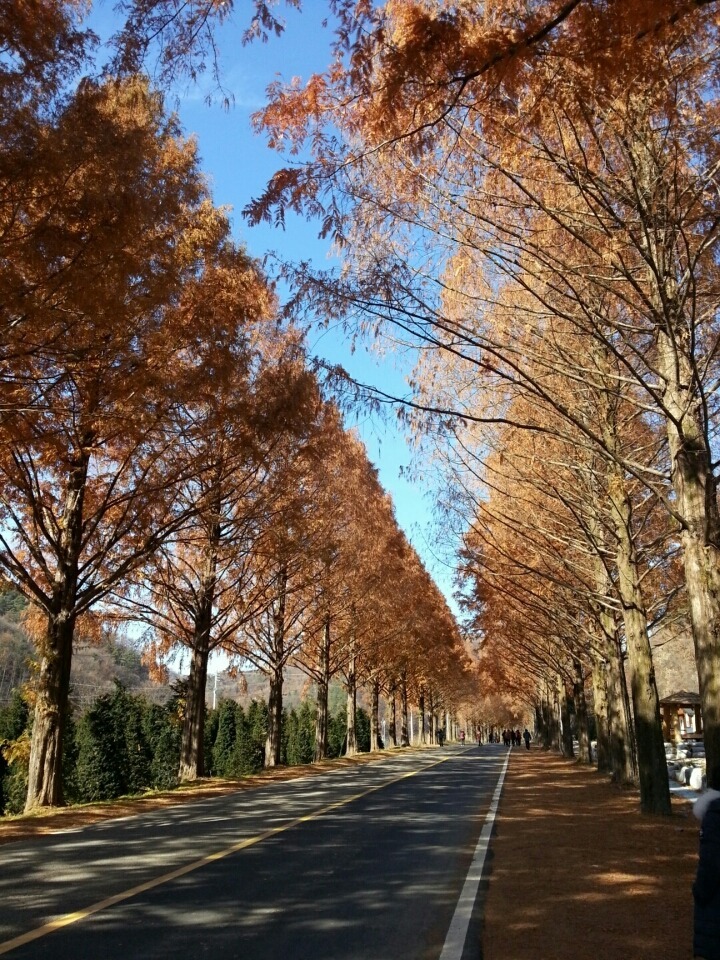 운장산자연휴양림 이미지