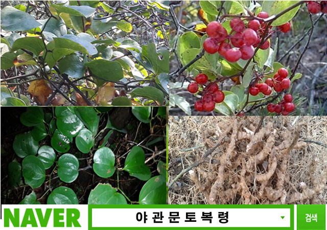 철은인터내셔날(주) 이미지