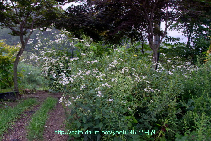 산호장여관 이미지