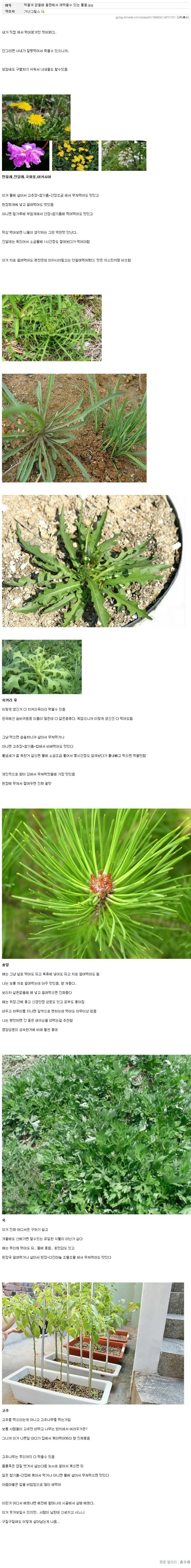 흙수저갤 가난그릴스.JPG | 인스티즈