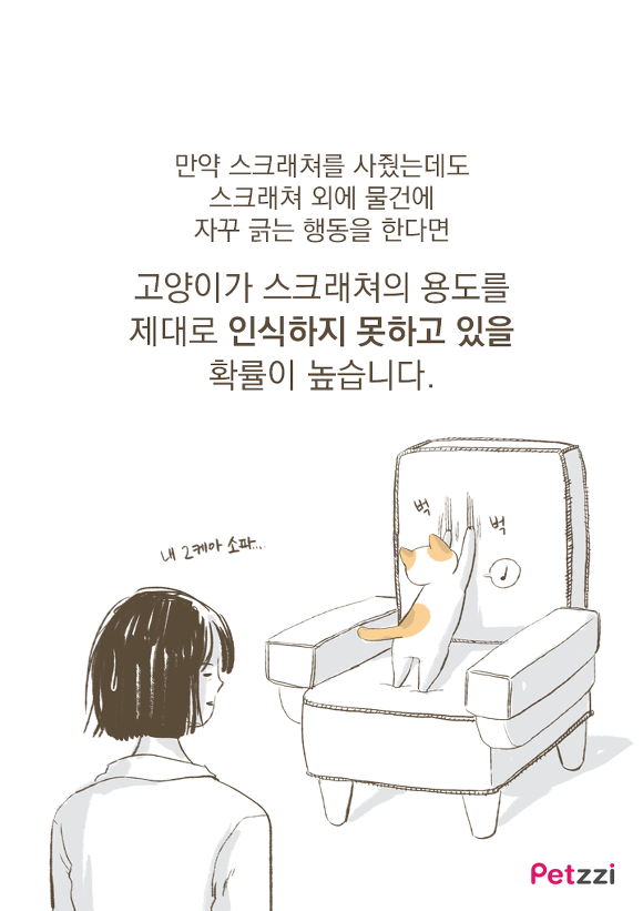 고양이가 긁는 이유(만화).jpg | 인스티즈