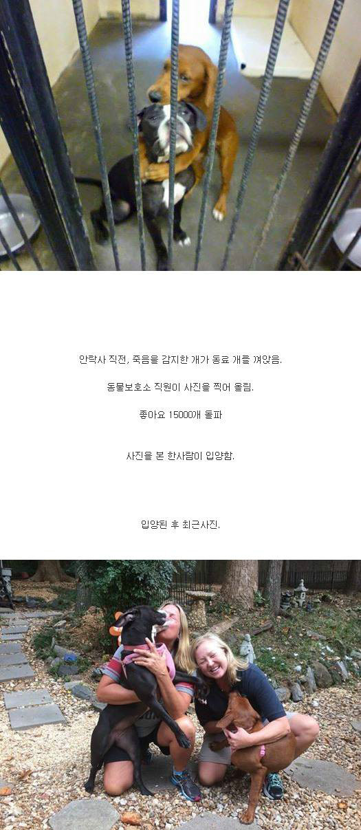 목숨을 살린 단 한장의 사진...jpg | 인스티즈