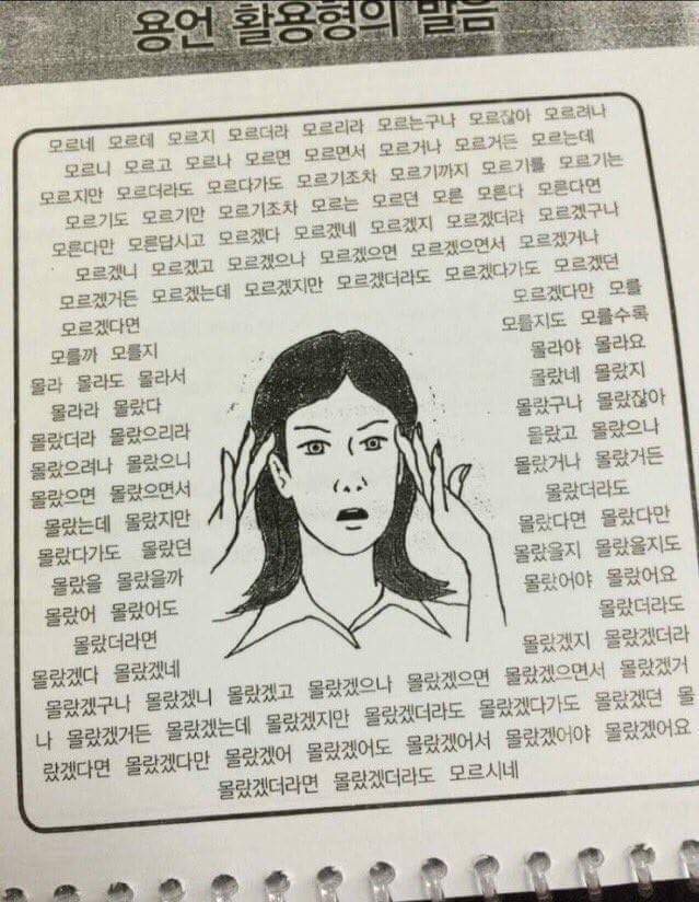 한국인에게도 한국어가 어려운 이유 | 인스티즈