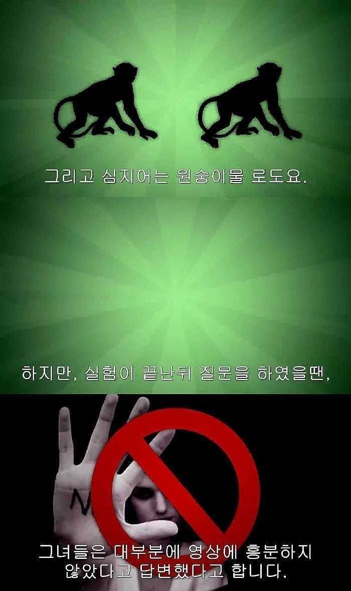 포르노를 봤을 때 남자와 여자의 차이 | 인스티즈