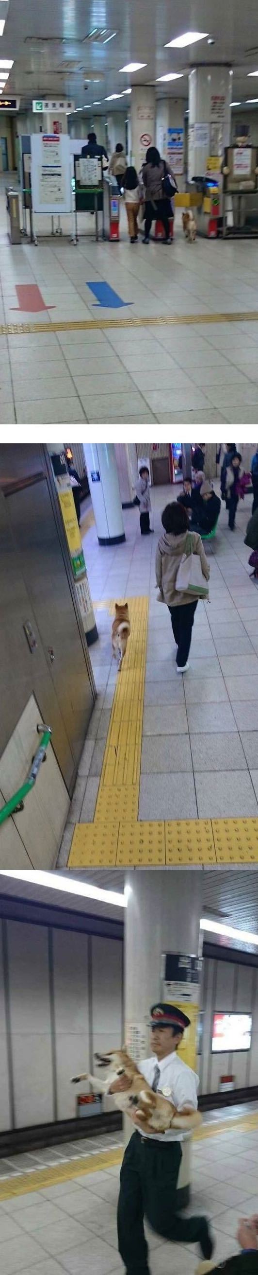 돈 안 내고 지하철 타기 | 인스티즈