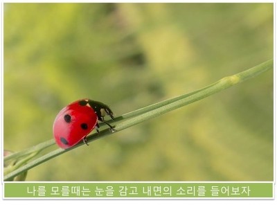 마인드컨트롤 이미지