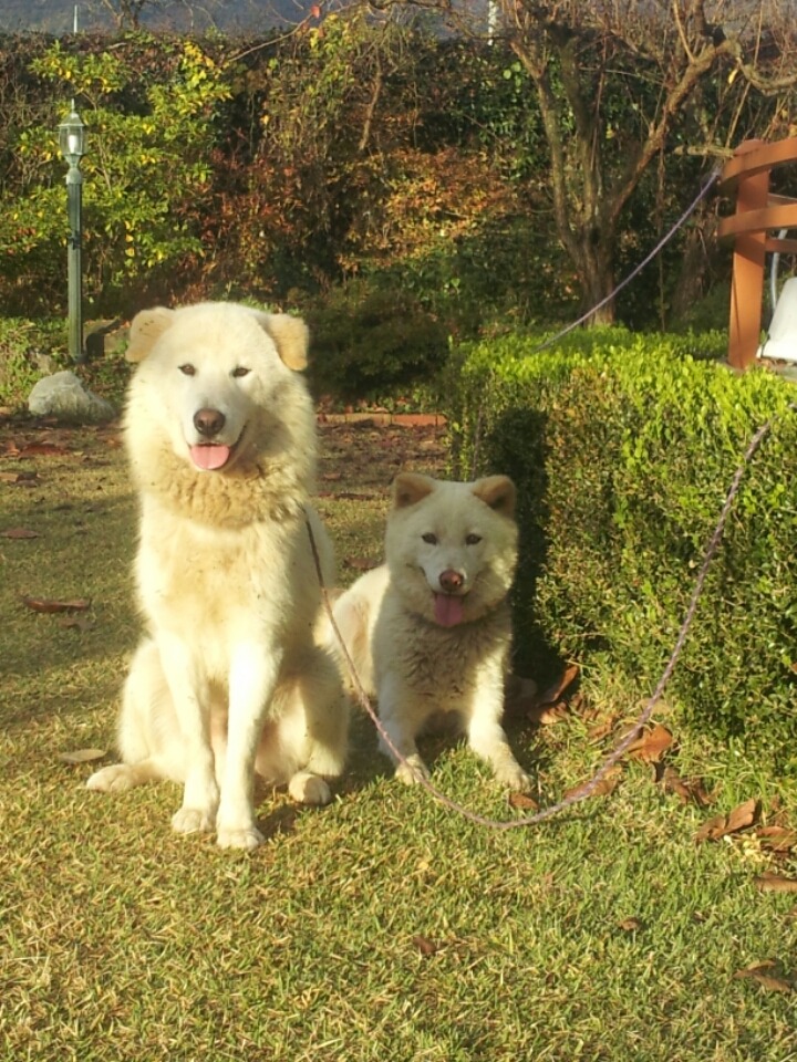 잉꼬부부 이미지
