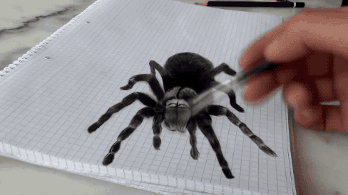 화가 아빠의 리얼한 3D거미 그림과 딸의 반응.GIF | 인스티즈