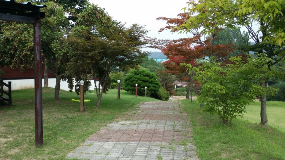 (주)삼흥관광 이미지