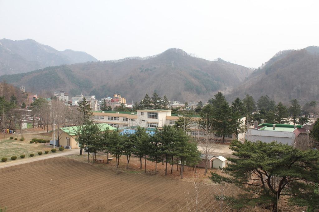 대나무집펜션 이미지
