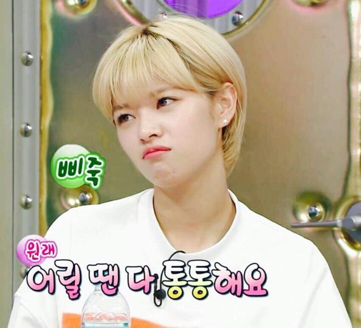 정연이 모모 | 인스티즈