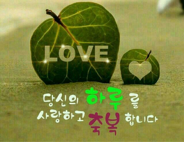 발렌 이미지
