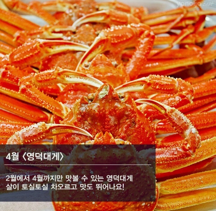 2017년을 위한 제철음식 총집합 | 인스티즈