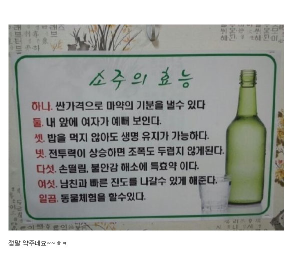소주의효능 | 인스티즈