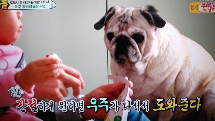 오늘자 수위가 쎈 슈돌 자막....jpg | 인스티즈