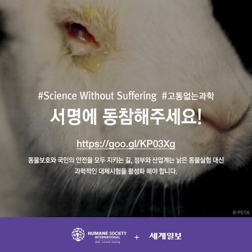 [필수!] 동물실험반대서명 하고가세요!!! 당신의 한서명이 몇천 몇만마리의 동물들을 살립니다!!! 서명하고 하는일마다 잘풀리는 복받아가세요~!! | 인스티즈