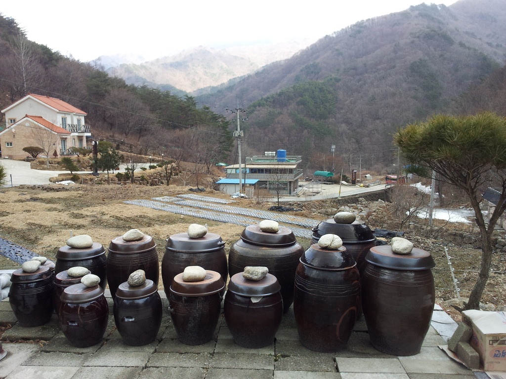 고향어탕국수 이미지
