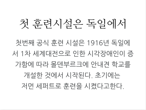 안내견에 대한 잘 몰랐던 사실들.. 그 개를 알고싶다! 안내견편!! | 인스티즈