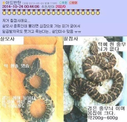 중고나라의 매우 위험한 물품거래.jpg (뱀주의) | 인스티즈