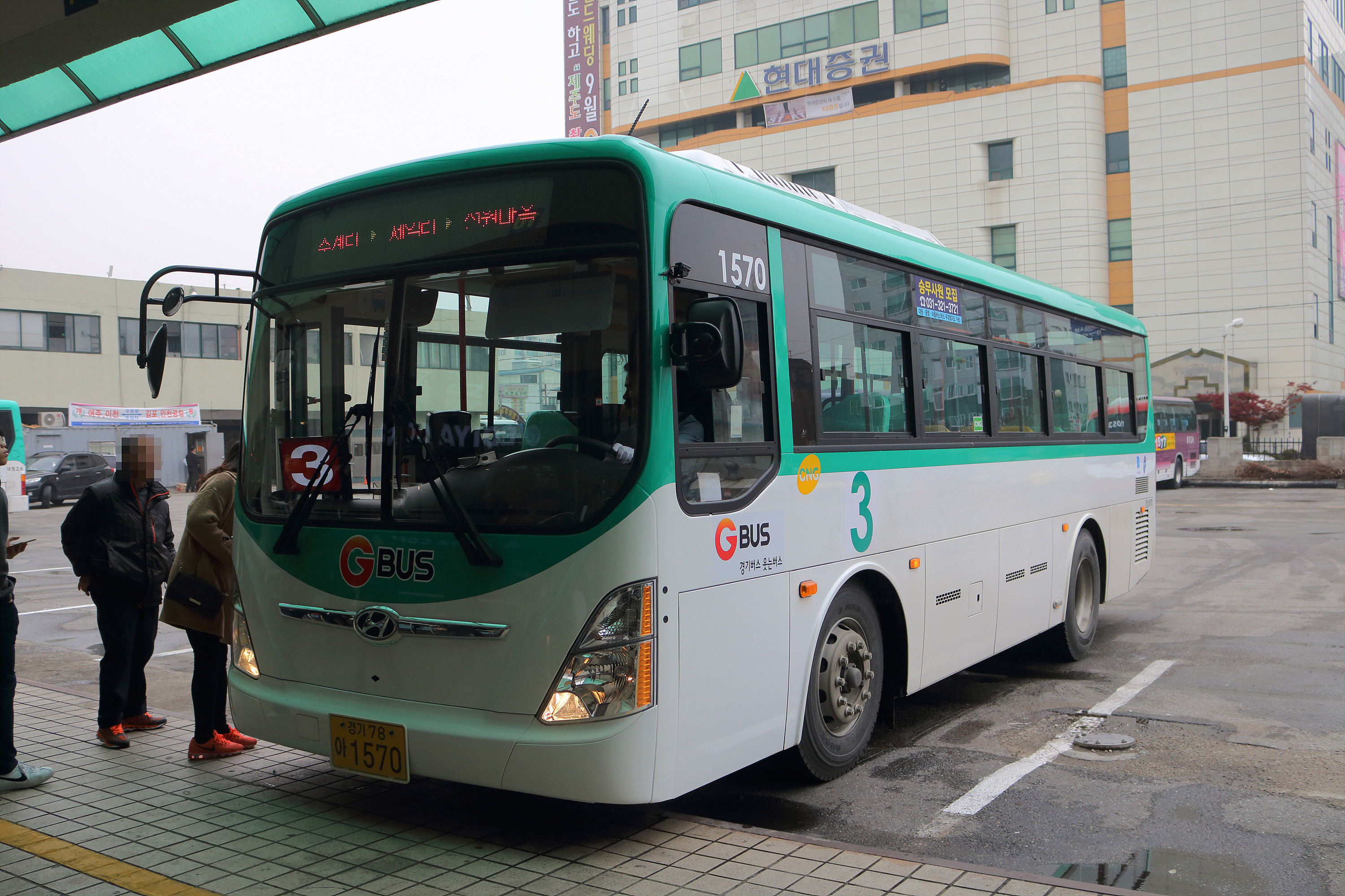 그린시티 이미지
