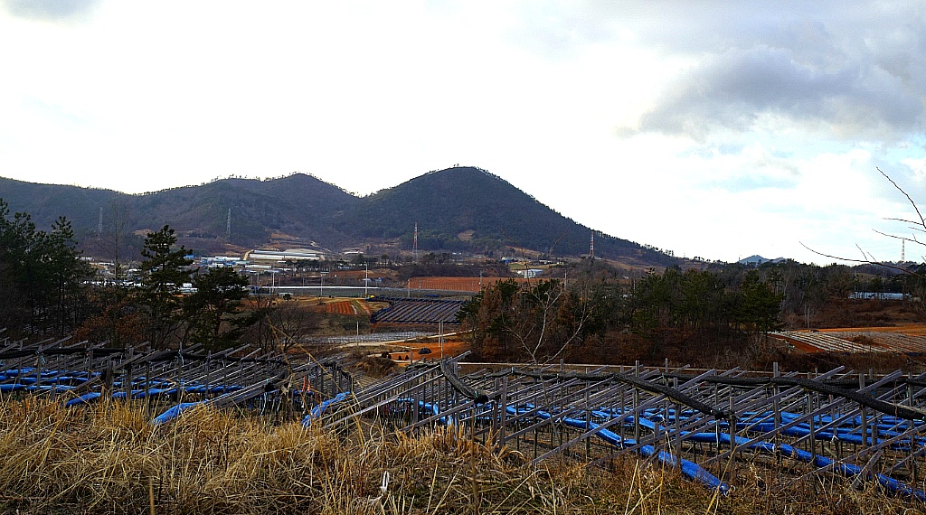 하나건해 이미지