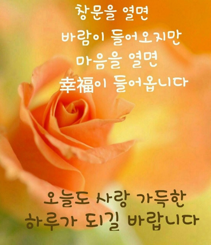 소예 이미지