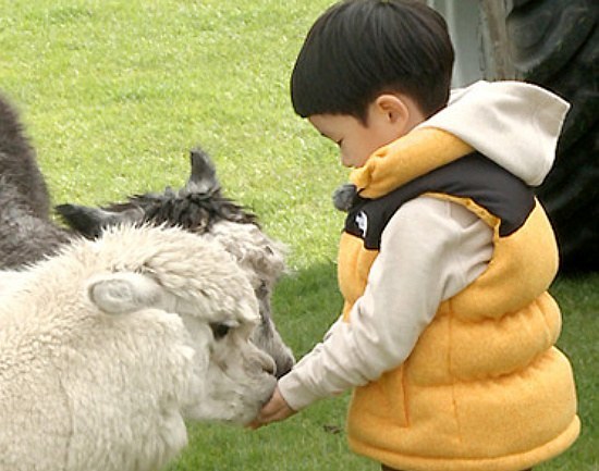 [아빠어디가] 동물이란 동물은 다 좋아하는 것 같은 민율이ㅋㅋ (아기♥동물=힐링) | 인스티즈