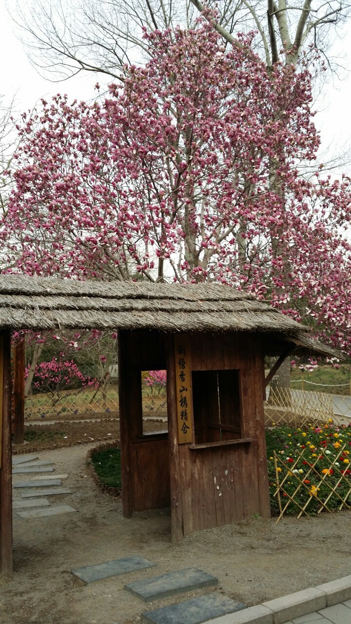 향산 이미지