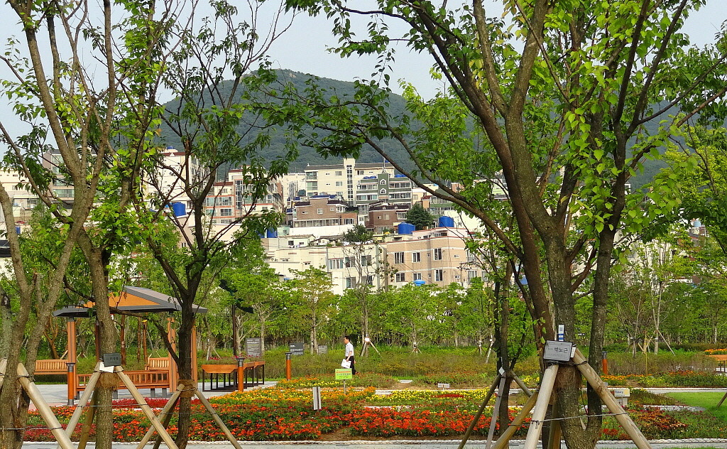 공원 이미지