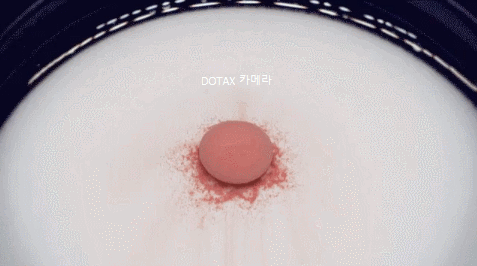 알약이 녹는 과정.gif | 인스티즈