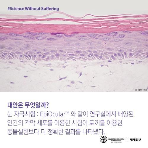 저를 죽이기 전에 눈을 한번 봐주세요(혐오주의) | 인스티즈