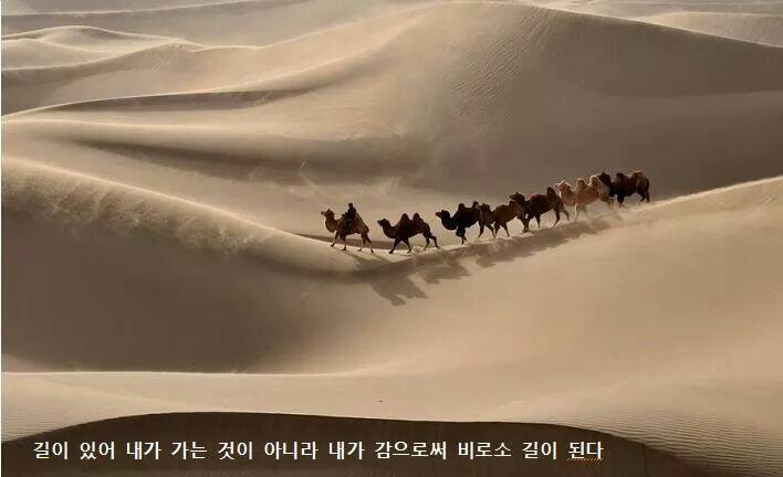 온새미로 이미지