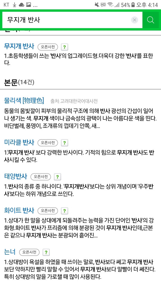 네이버 국어사전 의문의 항목.jpg | 인스티즈