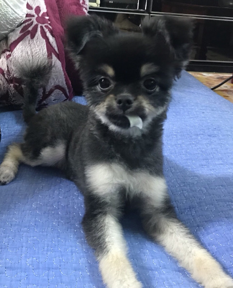 받던 오하영 | 인스티즈