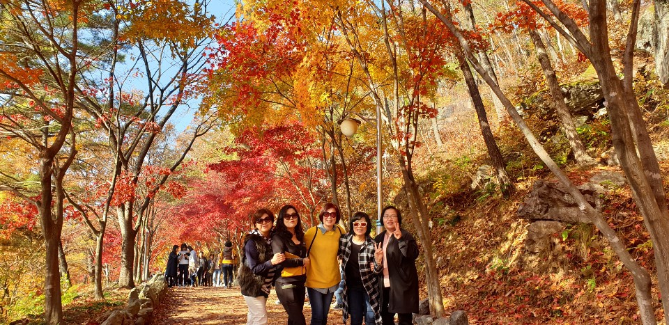 1박2일 이미지