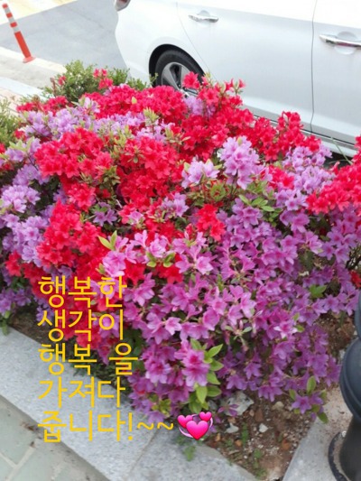 향기나는세상 이미지