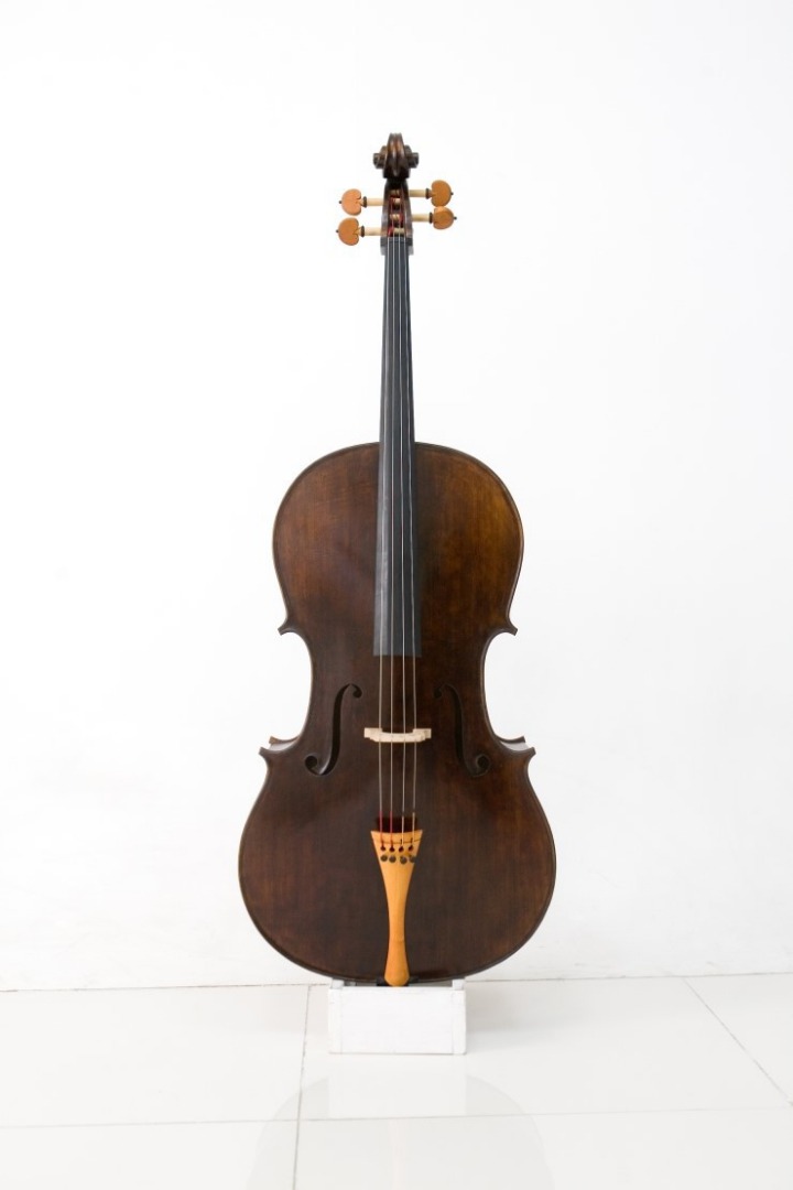 이중 한가지 악기를 완벽하게 마스터가능하다면? | 인스티즈