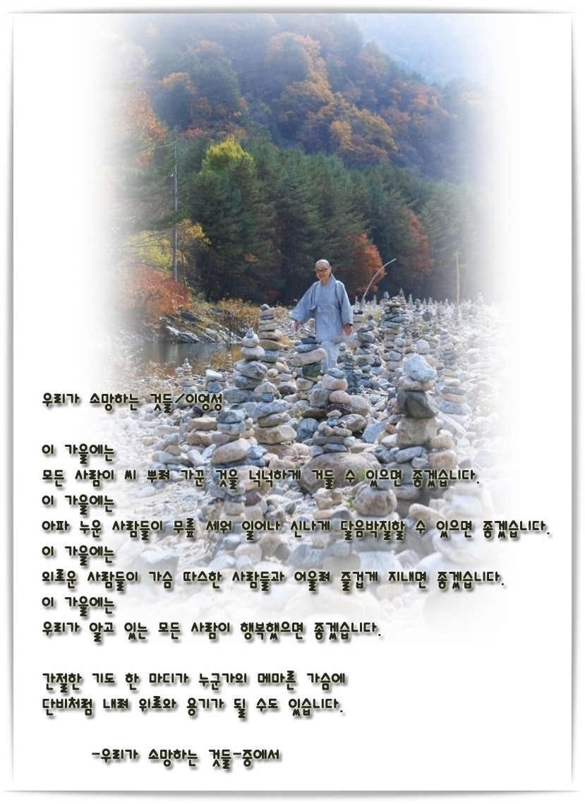 이영성 이미지