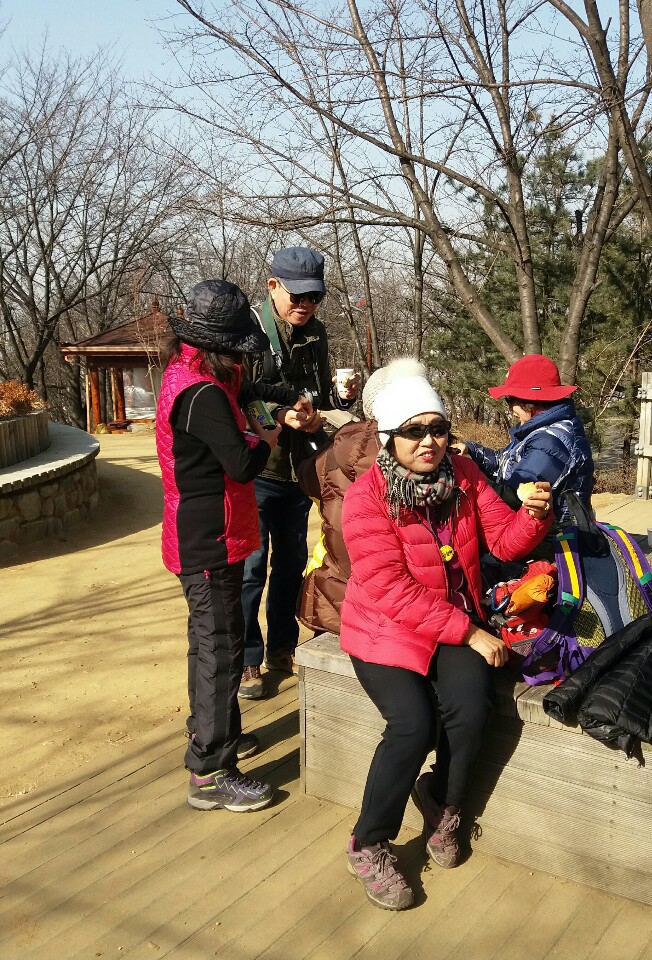 제디플 이미지