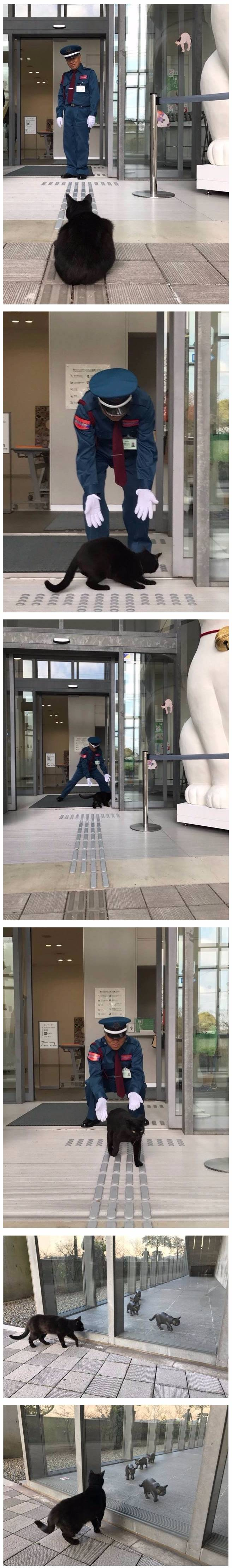 들여보내달라냥!.jpg | 인스티즈
