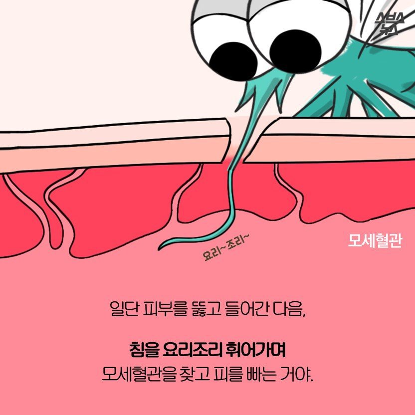 모기 만화.jpg | 인스티즈
