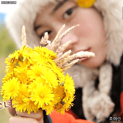 180202 정글의법칙 다이아 채연.gif | 인스티즈