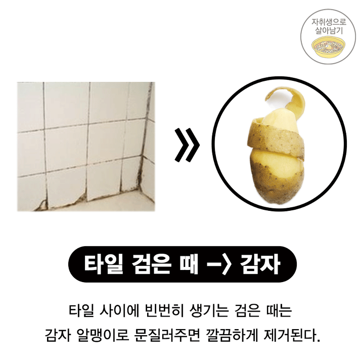 욕실 청소의 모든 것! 이것만 알아도 욕실 청소 마스터! | 인스티즈