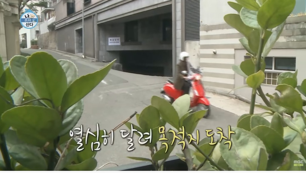 손담비가 오토바이 5년을타도 운전실력이 안느는 이유 | 인스티즈