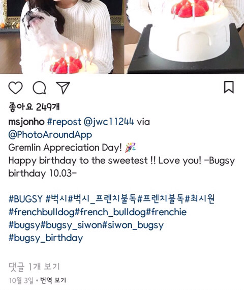 피해자분 돌아가신 날 강아지 생일파티한 최시원네 가족 | 인스티즈
