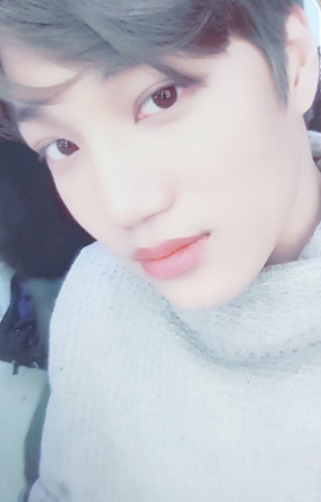 시바카이 이미지