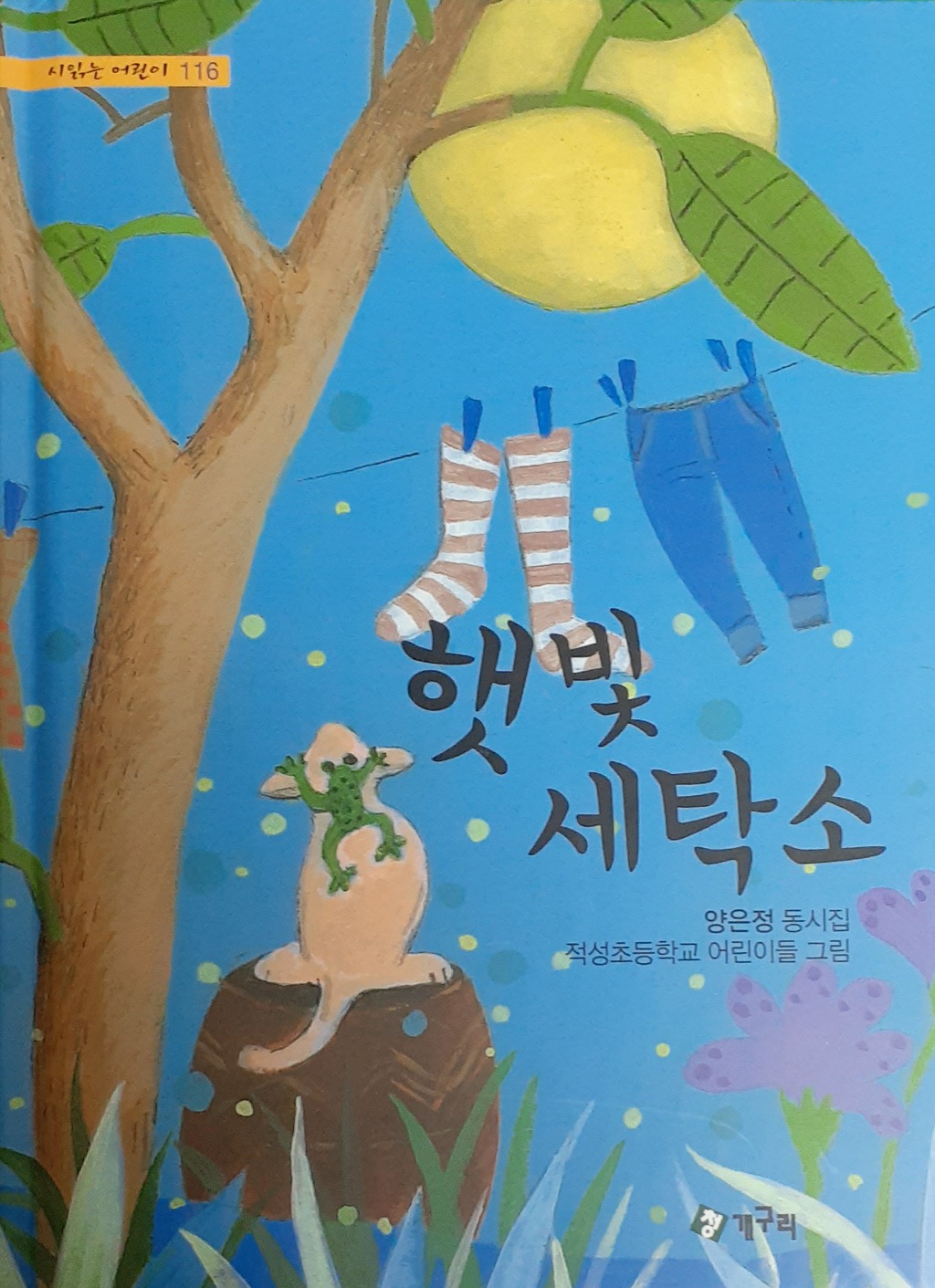 그린세탁소 이미지