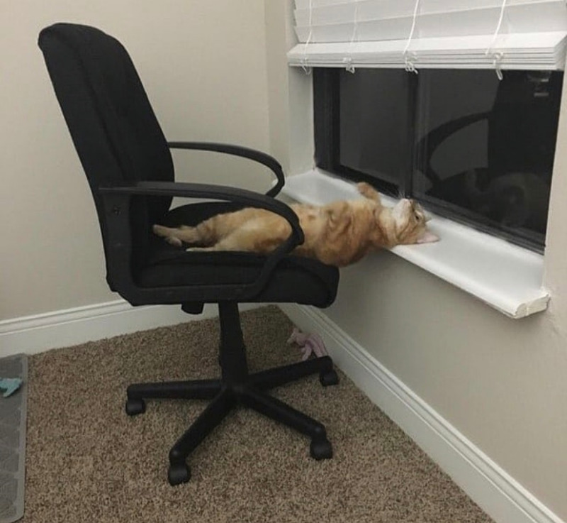 사무실에서 눕는 방법 | 인스티즈