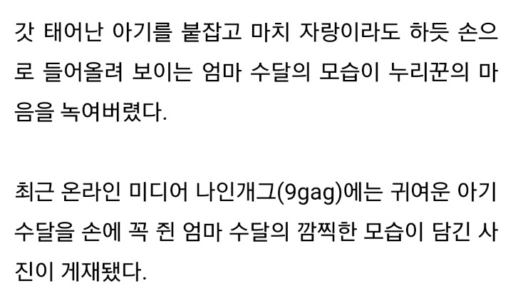"제가 낳았어요"•••갓 낳은 새끼 수달 자랑하는 엄마 수달 | 인스티즈
